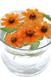 Bouquet de fleurs