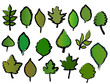 Different leafs vector Different leafs vector