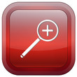 Magnifier button