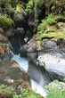 Torrent du Bon Nant au Pont Romain Torrent du Bon Nant au Pont Romain