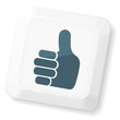 Thumb`s Up Sign Key Thumb`s Up Sign Key