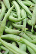 Bohnen