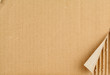 Ripped Grungy Cardboard Background