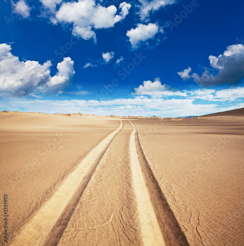 Photo: In desert In desert