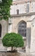 église saint-trophime 8