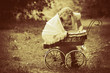 baby buggy baby buggy