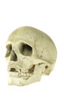 Totenkopf