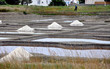 NOIRMOUTIERS les salines