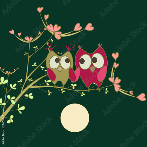 Owls In Love. cute owls in love