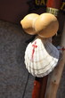 Camino de Santiago
