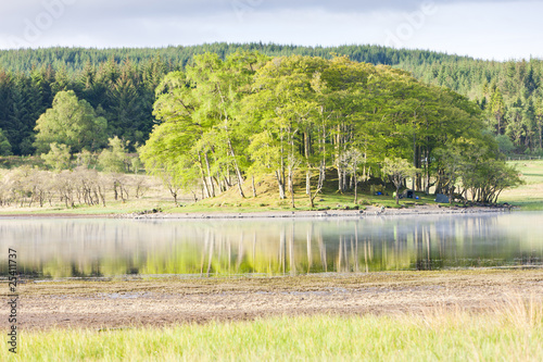 Loch Awe, Highlands, Scotland Loch Awe, Highlands, Scotland