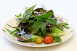 Salat aus Wildkräutern