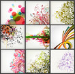 floral design elements