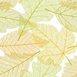 Vector seamless autumn leaves pattern Vector seamless autumn leaves pattern