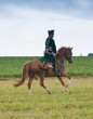 Waterloo 5