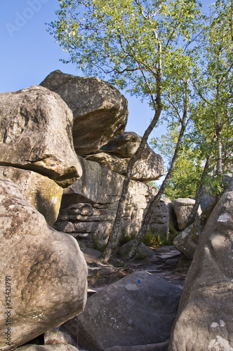 Rochers de la forêt de Fontainebleau - France Rochers de la forêt de Fontainebleau - France