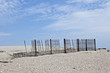 fence for protection of the dunes at the beautiful natural beach