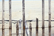 fence for protection of the dunes at the beautiful natural beach