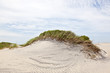 dune with grass at the sandy beach