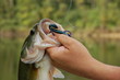 fisherman with bass