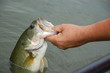 fisherman with bass