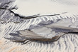 wind forms structures in the dunes at the beach
