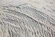wind forms structures in the dunes at the beach