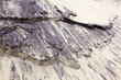 wind forms structures in the dunes at the beach