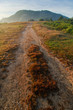 Road track to mountain at sunrise