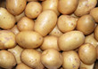 Frühkartoffeln q.
