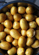 Frühkartoffeln h.