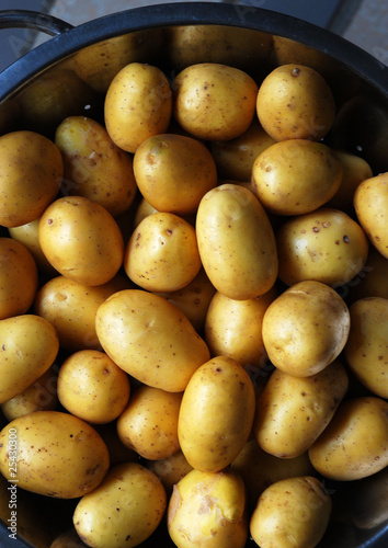 Photo: Frühkartoffeln h. Frühkartoffeln h.
