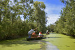 france; 85; marais poitevin ,maillezais : barques sur le canal france; 85; marais poitevin ,maillezais : barques sur le canal