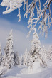 Winterlandschaft