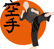 karate - fight (shaolin)