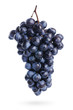 The branch of grapes with water drops, isolated