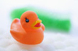 rubber duck floating on soapsud