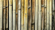 bamboo bamboo