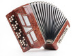 Brown bayan (accordion) on white background