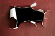 hole ripped in a piece of paper