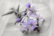 Fleurs bleues sur fond bois