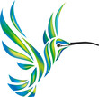 Humming-bird vector