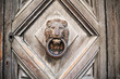 Door Knocker