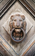 Door Knocker