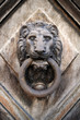 Door Knocker