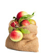 Sack Of Apples