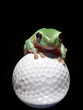 Green Tree Frog Sitting on Golf Ball