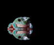 Green Tree Frog Sitting on Mirrored Surface