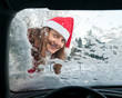 Foto: frau, auto, winter frau, auto, winter