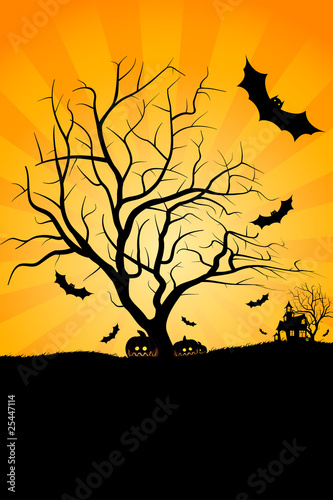 Halloween night Halloween night